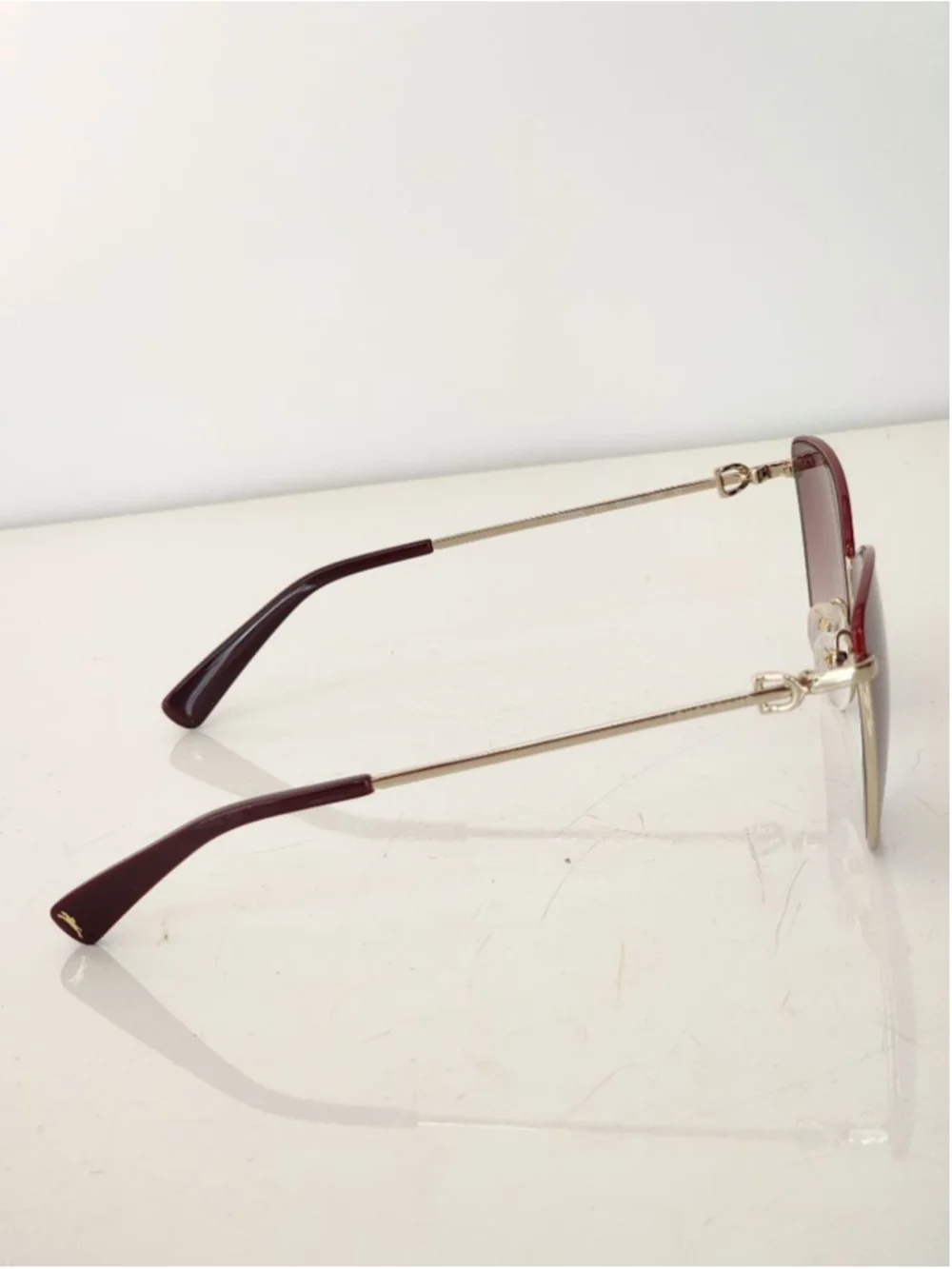 Longchamp brand new